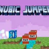 Nubic Jumper