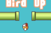 Play Bird Up now!