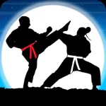 Karate Fighter