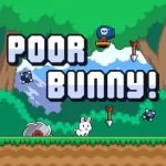 Poor Bunny