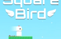 Play Square Bird now!