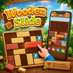 Wooden Slide